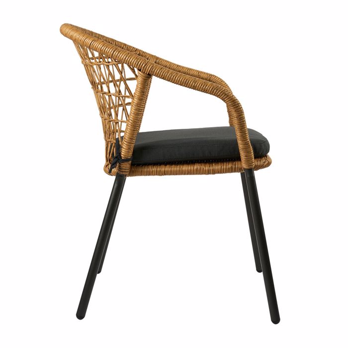 Poluthrona Nuera fusiko